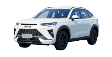 HAVAL H6S (2021>)